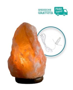 Lampada di Sale Rosa Himalayano con Base in Cedro 2-3 Kg. - Influenza il benessere spirituale oltre a contribuire al benessere fisico